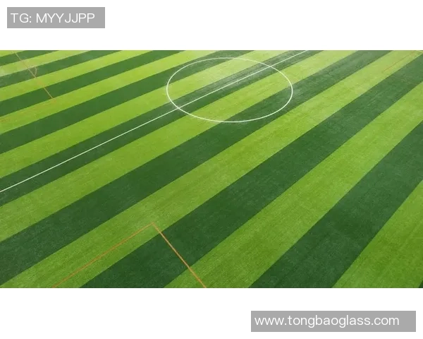 足球星赛场高光镜头全景呈现带你感受激情与力量交织